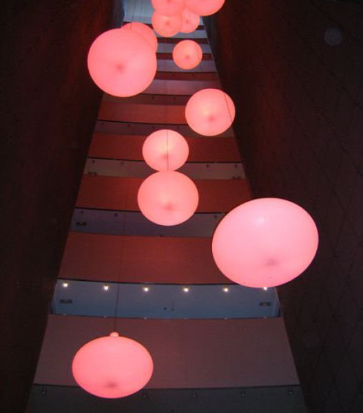 NO FRUIT_Site6
